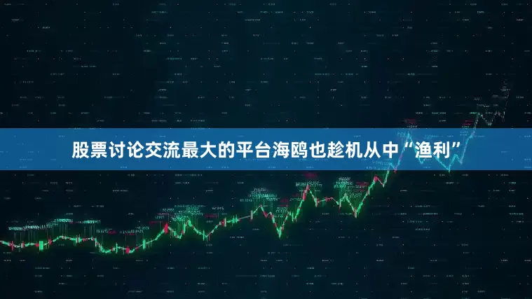 股票讨论交流最大的平台海鸥也趁机从中“渔利”