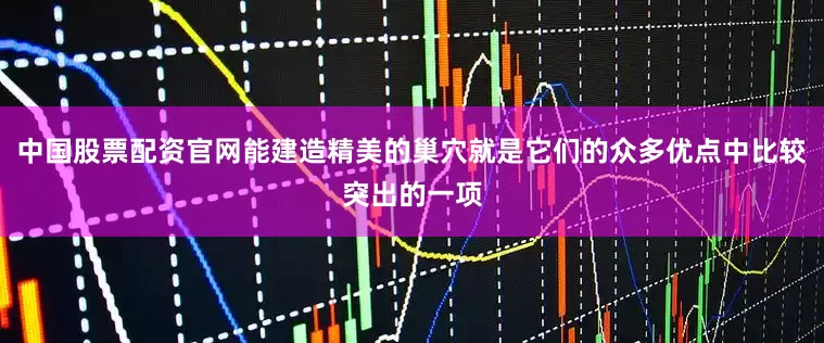 中国股票配资官网能建造精美的巢穴就是它们的众多优点中比较突出的一项