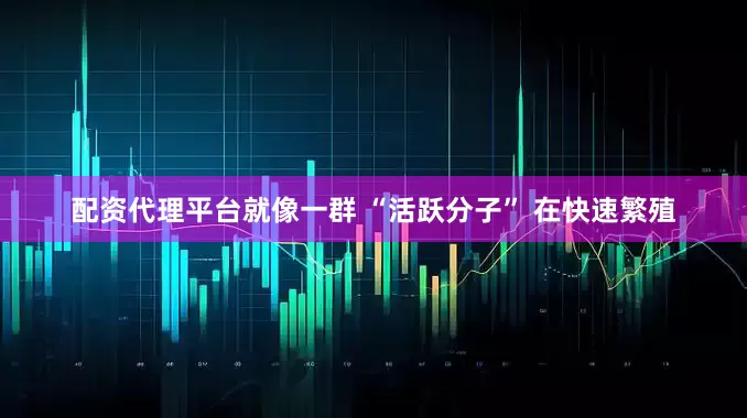 配资代理平台就像一群 “活跃分子” 在快速繁殖