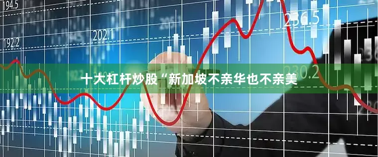 十大杠杆炒股“新加坡不亲华也不亲美