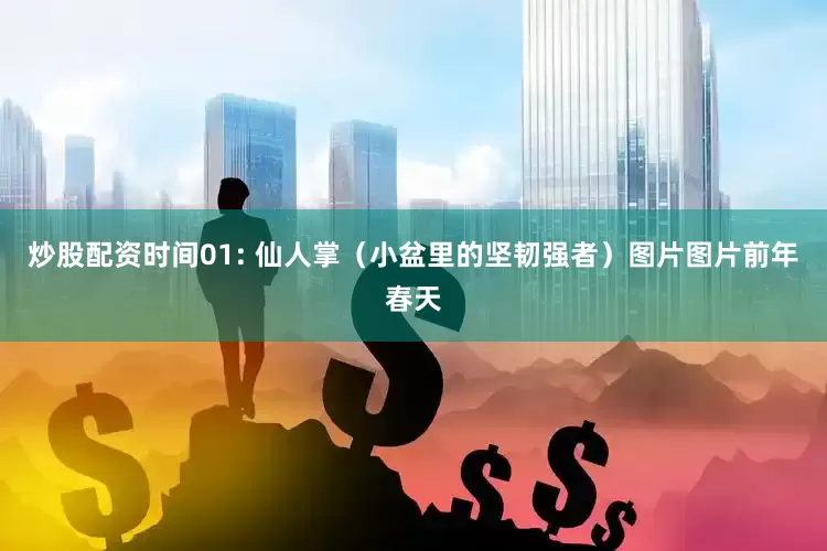 炒股配资时间01: 仙人掌（小盆里的坚韧强者）图片图片前年春天