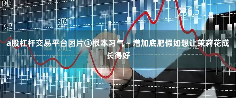 a股杠杆交易平台图片③根本习气～增加底肥假如想让茉莉花成长得好